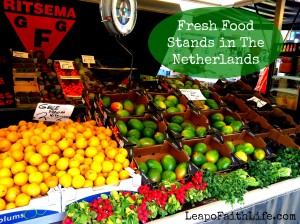 Fresh Food Stands in the Netherlands