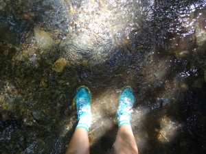 Impromptu jungle hike. Prepared with socks and shoes...